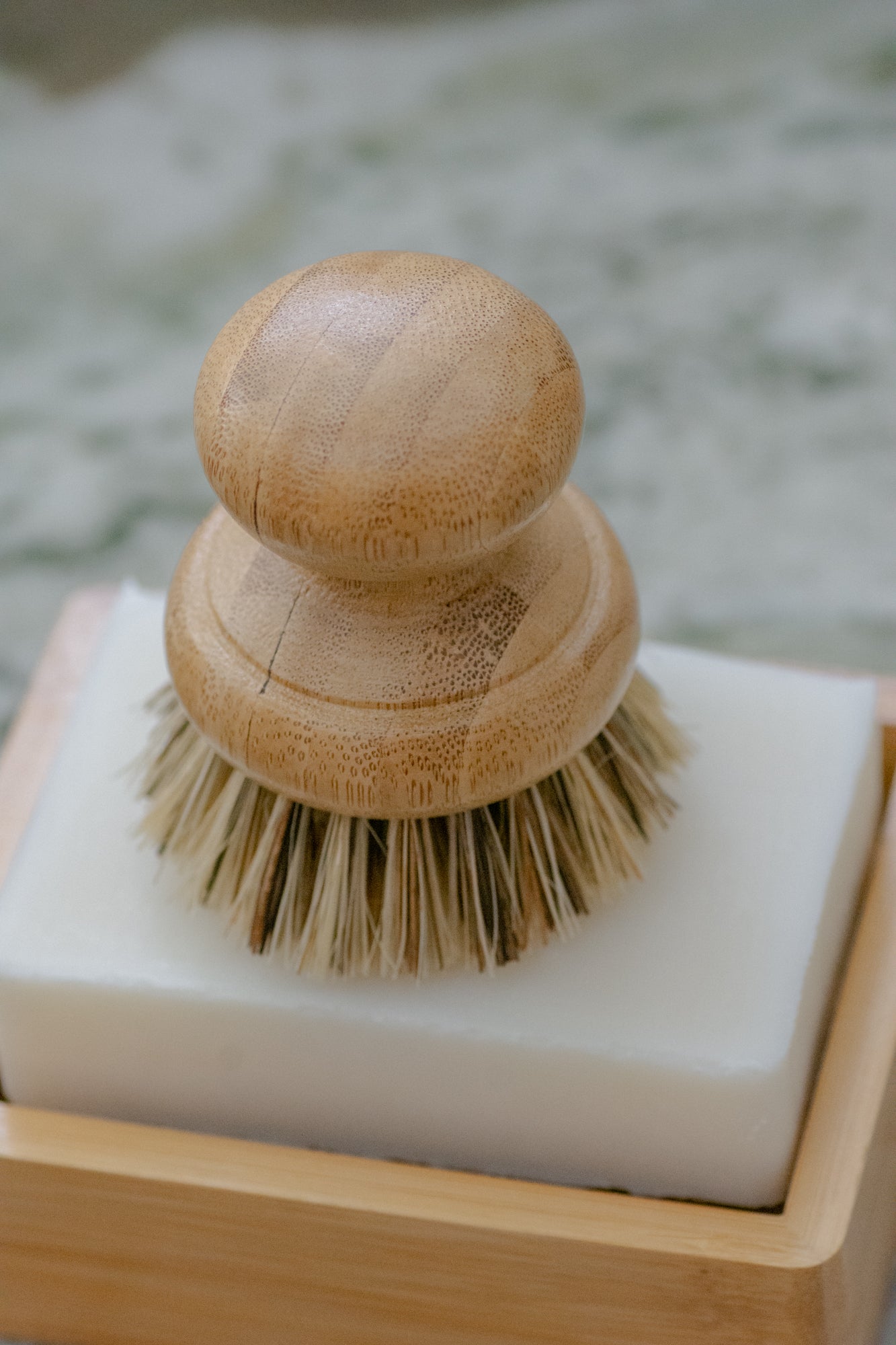 No Tox Life CASA AGAVE Pot Scrubber Brush