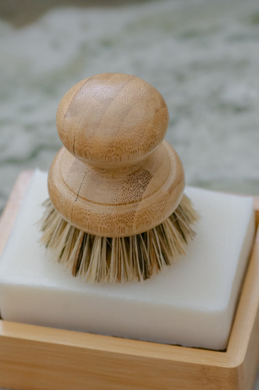 No Tox Life CASA AGAVE Pot Scrubber Brush