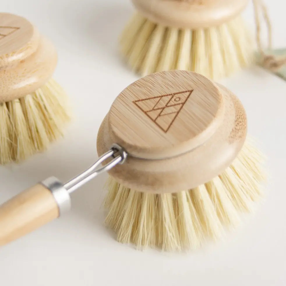 No Tox Life CASA AGAVE Replacement Brush Head